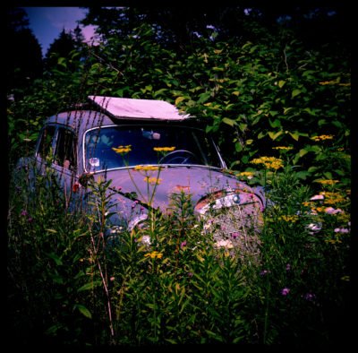 Abandoned-Car-In-Tall-Grass