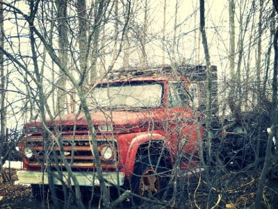 Forgotten-Chevrolet-In-The-Woods