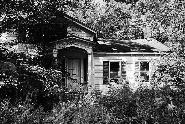 Abandoned House Swallowed By Overgrowth - Thomas Slatin