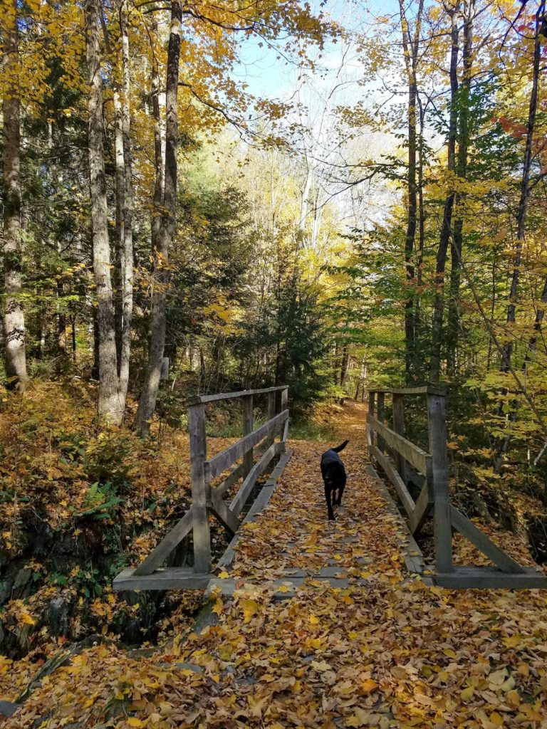 weird-vermont-the-most-eccentric-town-and-city-names-thomas-slatin